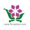 Florastore Logotype