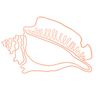 Conchita Studio Logotyp