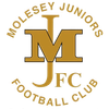 Molesey Juniors Football Club Logotyp