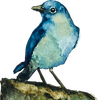 tjirptjirp Logotyyppi