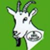 't Leenhof Logotyp