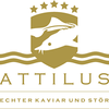 Attilus Kaviar N Logotype