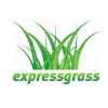 Express Grass Λογότυπο
