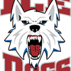 FAIRBANKS ICE DOGS Logotype