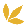 Densundebutik Logo