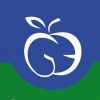OEKOTHEK SHOPIFY Logotype