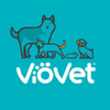 VioVet Logotype