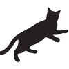kissapuu.com Logotyyppi
