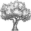 Olivenco Logotyp