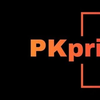 PKprint Shop Logotyp