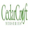 Cedarcroft Logó