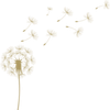 Flowrina Logotype
