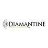 Diamantine VOF Logotype