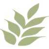 California Silk Plants Logotype