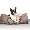 Chayas. DOGS LUXURY ESCAPES Logotype