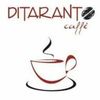 Ditaranto Caffè Logó