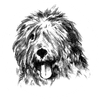Brest Brest Brest Logotyp
