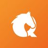 equiflairsaddlery.com Logotyp