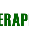 Svenska Fysioterapiskolan Logotype