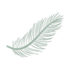 Ernestine Numan Creations Logotyp