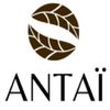 Antaï Logó