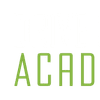 Drive Safe Academy Logotype