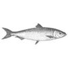 HandleIt Fishing System Logotyp