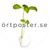 Örtposter.se Logotype