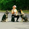 teamwork4dogs Logotyp