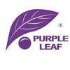 Purple Leaf Logotype