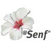 Blumen-Senf® Logotype