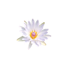 Design for Blooming Logotype