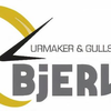 BjerveUr Logotipo