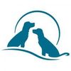 Seadogs Logotyp