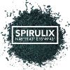 SPIRULIX Logotype