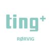 Tingplus Logo