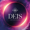 Deis Vision Logotype
