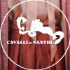 Cavalli e Nastri Logotipo