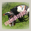 Unelmakeppari Logotyyppi