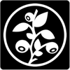ILONA RANTASALMI Logotipo