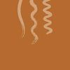 Ray Of Ginger Logo
