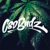 CBD BUDZ Logo
