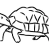 The Reptile Residence Logotyp