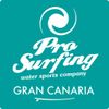 Pro Surfing Logó