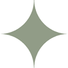 Skinstar Logotype