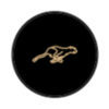 Resume Cheetah Logotipo