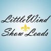 LittleWind Logotyyppi