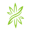 Twin Leaves Logo