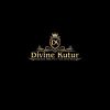 Divine Kutur Logotyp