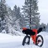 Coldbike Logó